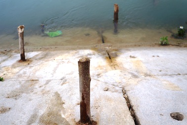 Đánh cược tính mạng trên dòng sông "chết"