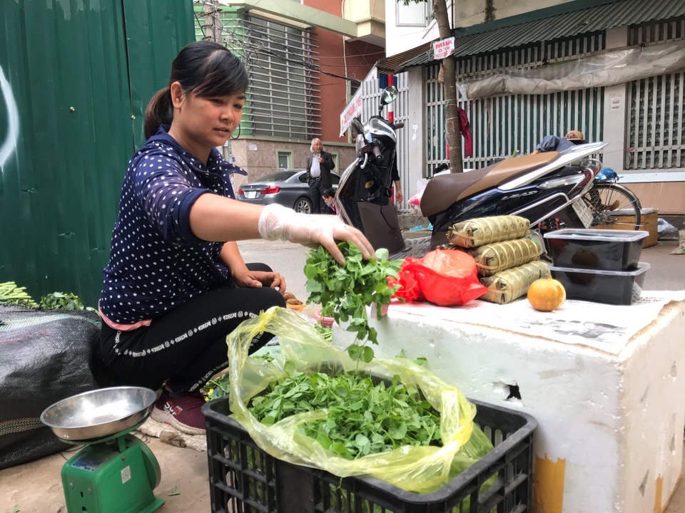 Rau dại bờ bụi miền Tây đi chuyên cơ ra Hà Nội thành đặc sản hạng sang - 5 Rau dại bờ bụi miền Tây đi chuyên cơ ra Hà Nội thành đặc sản hạng sang - 5