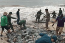 Tuyến kè bảo vệ 1.200 hộ dân lại sạt lở, xã huy động hơn 200 người gia cố