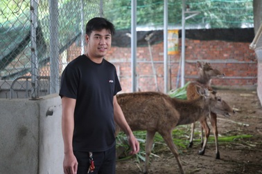 Nuôi hươu lấy "thần dược", thanh niên thu hàng trăm triệu đồng mỗi năm