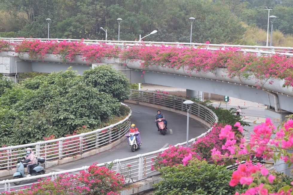 Hạn chế xe máy xăng: Kinh nghiệm chống sốc từ Trung Quốc - 5 Hạn chế xe máy xăng: Kinh nghiệm chống sốc từ Trung Quốc - 5