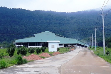 Dự án nhà máy rác hơn 200 tỷ đồng ở Phú Quốc bị đề nghị thu hồi