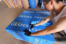 “Việt Nam đã chính thức dừng nhập khẩu hoa quả Australia”