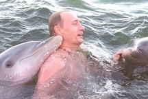 Công bố video hiếm quay cảnh ông Putin bơi cùng cá heo