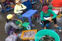 Tăng ngưỡng chịu thuế thu nhập cá nhân lên 11 triệu đồng: Vẫn lỗi thời