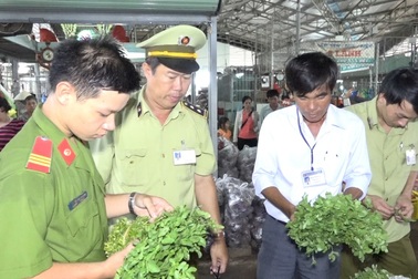 Phát hiện đậu que, cải bắc thảo “ngậm” thuốc trừ sâu