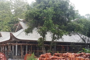 Nhiều sai phạm trong quá trình tôn tạo di tích chùa Bạch Tượng tại Thanh Hoá