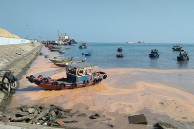 Dải nước màu đỏ dọc bờ biển Quảng Bình có thể do trứng khuyếc