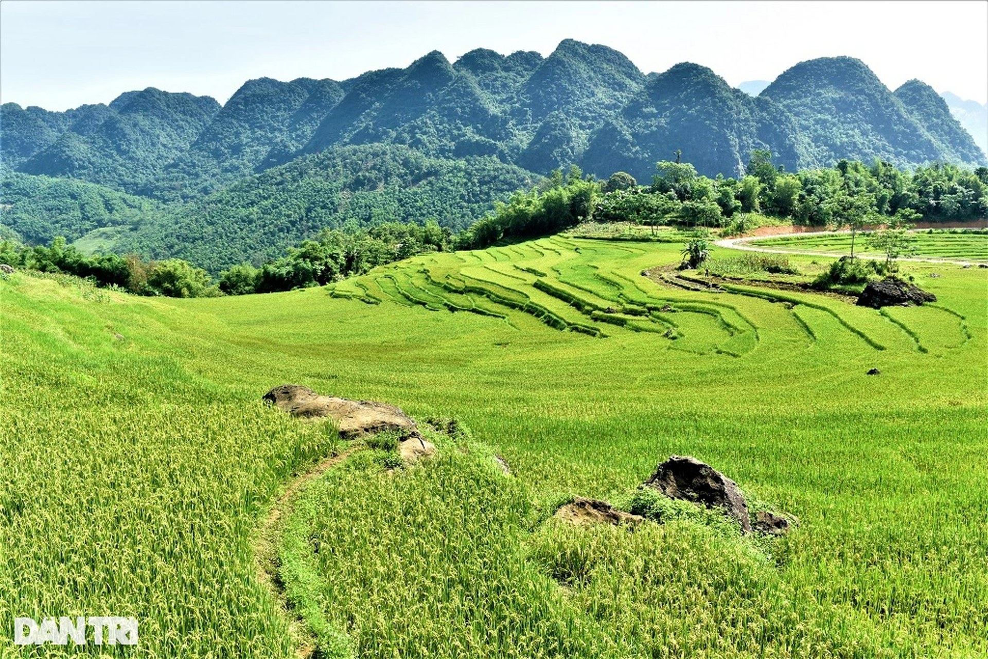 Vẻ đẹp hút hồn ở Pù Luông nơi được mệnh danh là thiên đường giữa đại ngàn - 7
