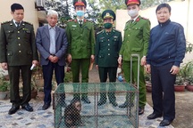 Tiếp nhận, cứu hộ 64 cá thể động vật hoang dã nguy cấp, quý hiếm