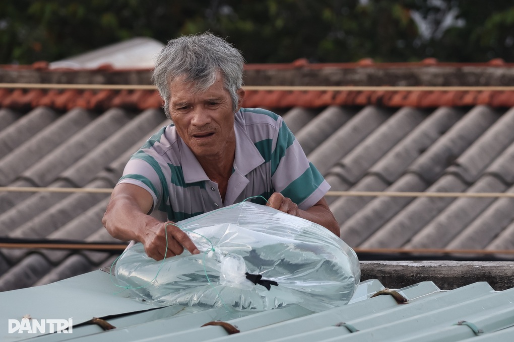 Bão Kalmaegi mạnh cấp 14, nhiều tỉnh cấm biển từ hôm nay - 2 Bão Kalmaegi mạnh cấp 14, nhiều tỉnh cấm biển từ hôm nay - 2