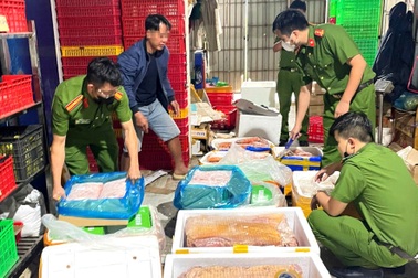 Kiểm tra nhiều cơ sở, phát hiện hơn 4,5 tấn thực phẩm không rõ nguồn gốc