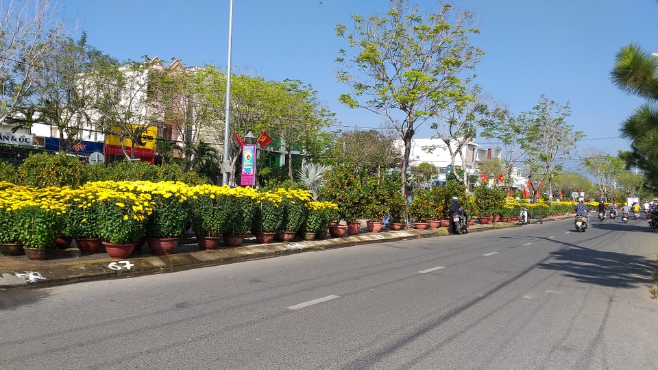 Hoa Tết ế ẩm, tiểu thương than trời - 1 Hoa Tết ế ẩm, tiểu thương than trời - 1