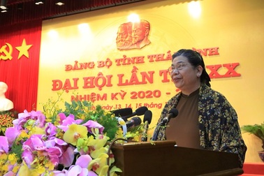 Phó Chủ tịch Quốc hội lo ngại 4 điểm hạn chế của Thái Bình