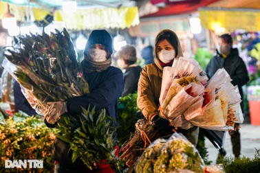 Chợ hoa lớn nhất ở Hà Nội họp xuyên đêm trong giá lạnh dưới 10 độ C