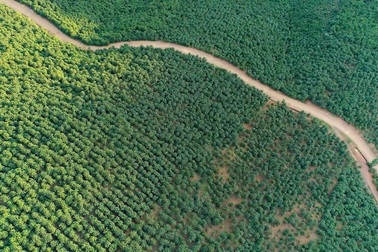 Kinh tế tuần hoàn - chìa khóa vàng đưa nền kinh tế toàn cầu vượt qua đại dịch