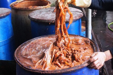 "Lộc biển" ở Đồ Sơn: Thu vài trăm triệu đến cả tỷ đồng nhờ sứa