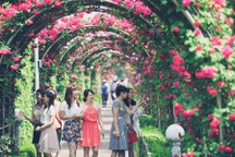 Nghỉ lễ 30/4-1/5, đi đâu, xem gì?