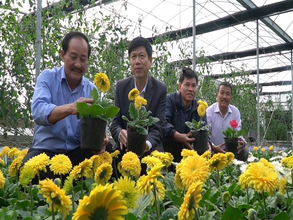 Bất ngờ với vẻ đẹp của hơn 1 vạn cây lan hồ điệp trên đỉnh Sa Mù, Quảng Trị - 5 Bất ngờ với vẻ đẹp của hơn 1 vạn cây lan hồ điệp trên đỉnh Sa Mù, Quảng Trị - 5