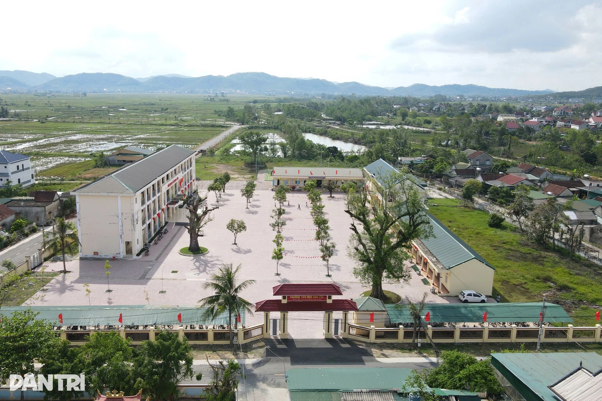 4 cây Kơ nia cổ thụ bí ẩn trong ngôi trường ở Hà Tĩnh - 1 4 cây Kơ nia cổ thụ bí ẩn trong ngôi trường ở Hà Tĩnh - 1