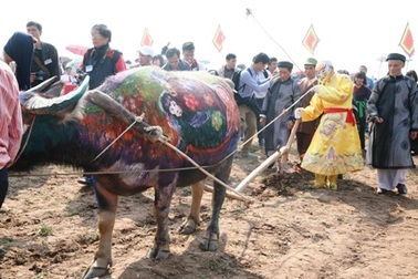 Nô nức xem "vua" cày ba sá ngày đầu năm