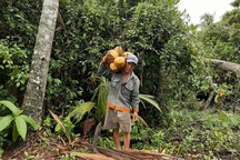 Nhọc nhằn nghề “ăn cơm dưới đất làm việc trên trời”