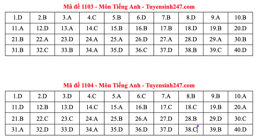 Gợi ý đáp án tiếng Anh thi tốt nghiệp 2025: Mã đề từ 1101 đến 1116 - 2 Gợi ý đáp án tiếng Anh thi tốt nghiệp 2025: Mã đề từ 1101 đến 1116 - 2