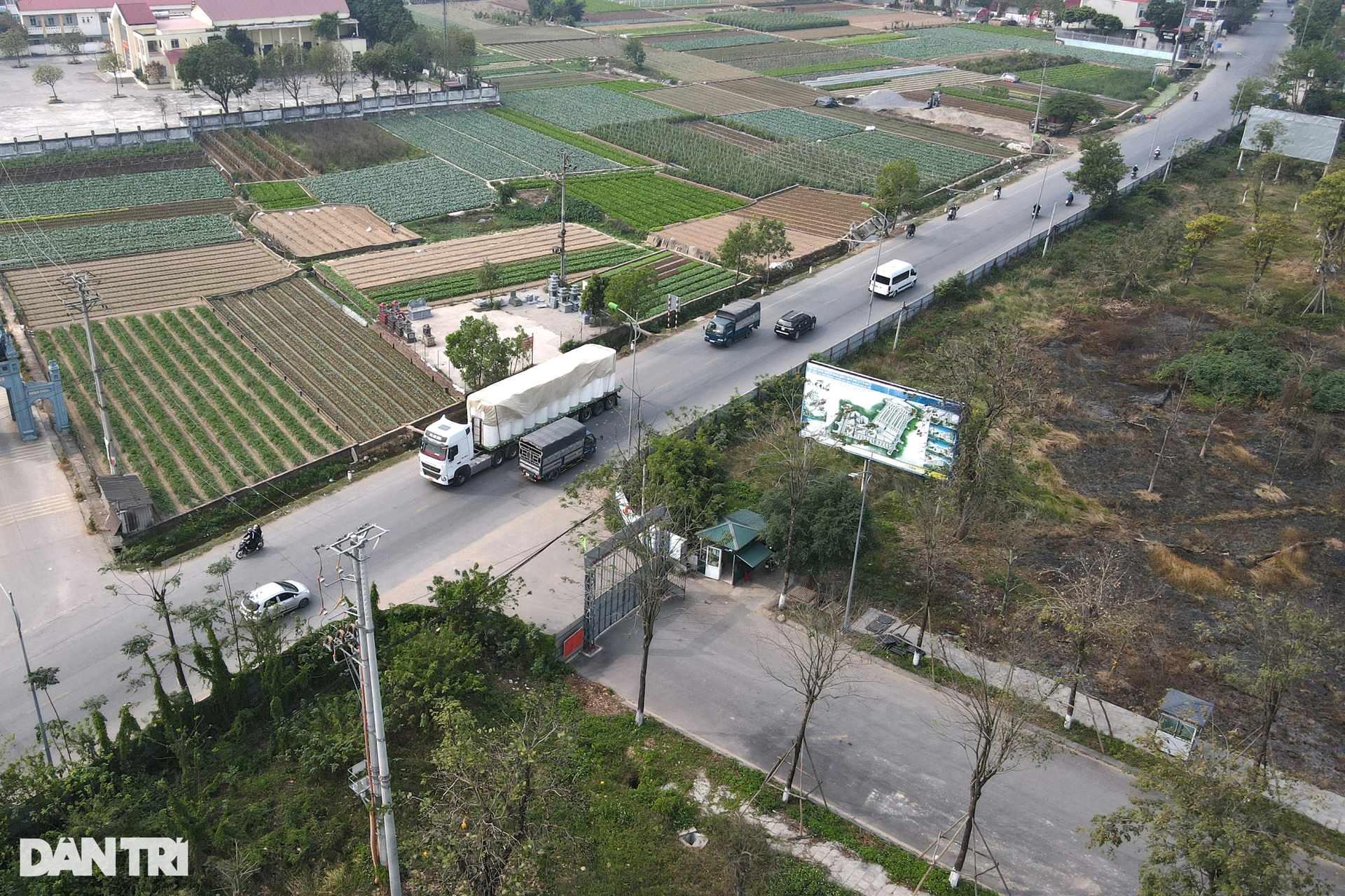 Nhiều khu đô thị đã có cả thập kỷ vẫn để chăn thả bò, trồng cỏ ở Mê Linh - 9 Nhiều khu đô thị đã có cả thập kỷ vẫn để chăn thả bò, trồng cỏ ở Mê Linh - 9