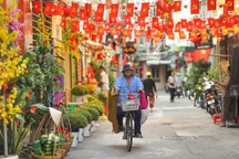 Sắc xuân tràn ngập hẻm nhỏ TPHCM những ngày giáp Tết