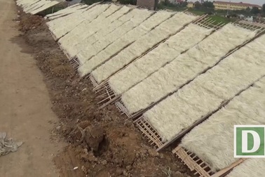 Cảnh hàng tấn miến phơi ven đường mất vệ sinh ở Hà Nội
