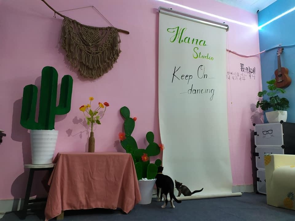 9x đầu tư 6 triệu đồng cải tạo phòng trọ, ai ngờ đẹp như homestay - 4 9x đầu tư 6 triệu đồng cải tạo phòng trọ, ai ngờ đẹp như homestay - 4