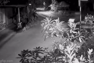 Nam thanh niên bị đánh tới tấp sau cú lao xe vào nhà dân