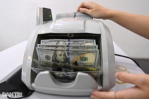 Giá USD tự do tăng nhanh, cán mốc 24.300 đồng