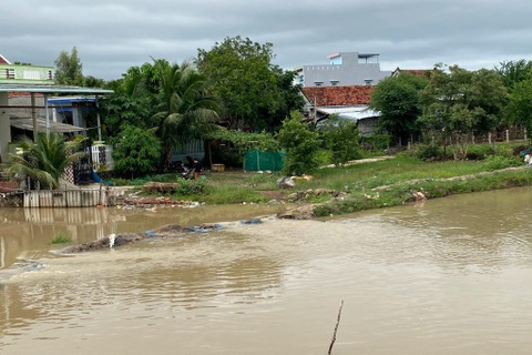 Bé trai 8 tuổi tử vong vì ngã xuống dòng nước lũ
