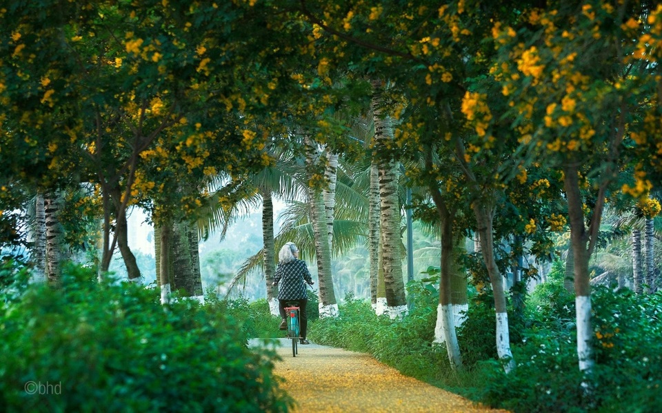 Vẻ đẹp “đến thổn thức” của Ecopark trong phút giao mùa - 2 Vẻ đẹp “đến thổn thức” của Ecopark trong phút giao mùa - 2