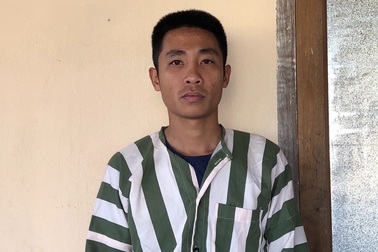 Khởi tố, bắt giam nhóm thanh niên cưa hạ hơn 20m3 gỗ