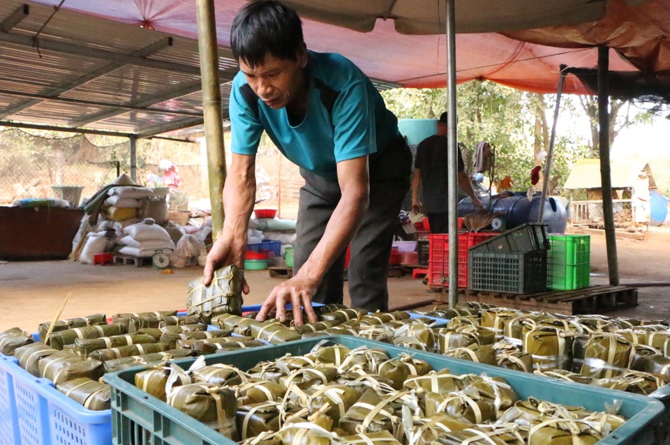 Chạy đua với thời gian để gói hơn 10.000 chiếc bánh chưng kịp Tết - 13 Chạy đua với thời gian để gói hơn 10.000 chiếc bánh chưng kịp Tết - 13