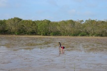 Sóc Trăng: Nhiều tiềm năng phát triển năng lượng tái tạo