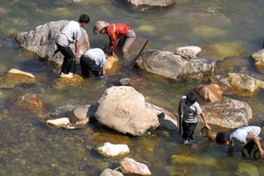 Độc đáo màn săn cá bằng xà beng ở Sa Pa