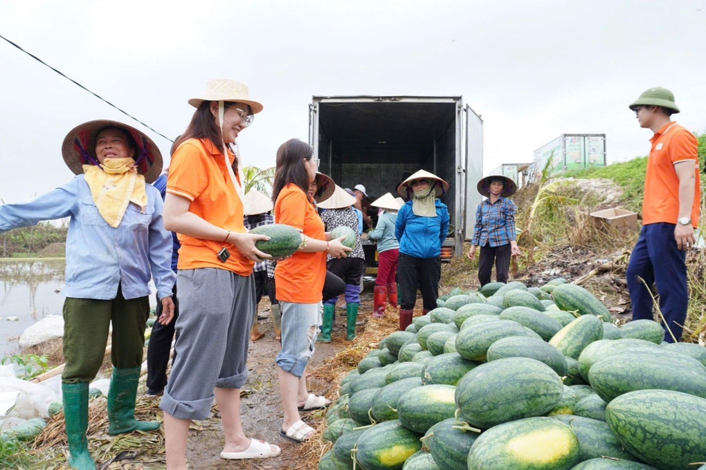 Sendo Farm chung tay hỗ trợ đồng bào bị thiệt hại do bão số 3 - 3 Sendo Farm chung tay hỗ trợ đồng bào bị thiệt hại do bão số 3 - 3