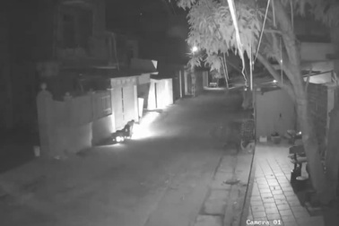 “Nỗi khổ” của chân ngắn khi đi xe máy