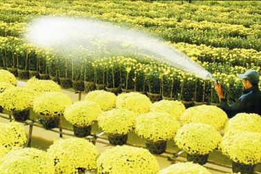 Cảnh sát thành phố Cao Lãnh tuần tra bằng xe đạp