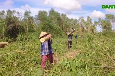 Nhọc nhằn nghề phu keo