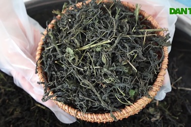 Nữ cán bộ nâng tầm rau sen thành sản phẩm trà cho giá trị kinh tế cao