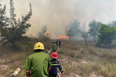 Hàng trăm người căng mình giữa nắng nóng cứu cháy rừng ven biển