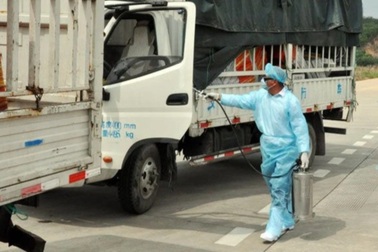 Thấy gì qua vụ phát hiện virus SARS-CoV-2 trên bao bì thanh long xuất khẩu?