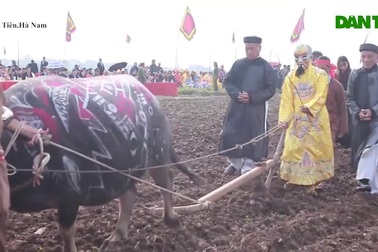 “Vua” xuống ruộng đi cày đầu năm mới, cầu mùa màng bội thu