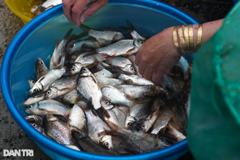 With torrential rain, people rush to find flood season specialties - 4