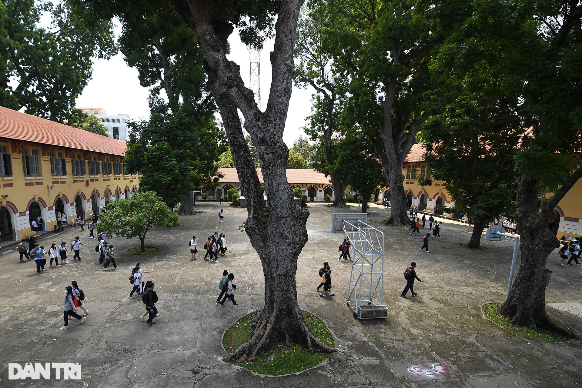 Khám phá ngôi trường hơn 100 năm tuổi tại TPHCM được công nhận di tích - 7 Khám phá ngôi trường hơn 100 năm tuổi tại TPHCM được công nhận di tích - 7