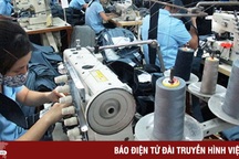 Thấy gì từ thực tế lao động lớn tuổi bị ép nghỉ việc?